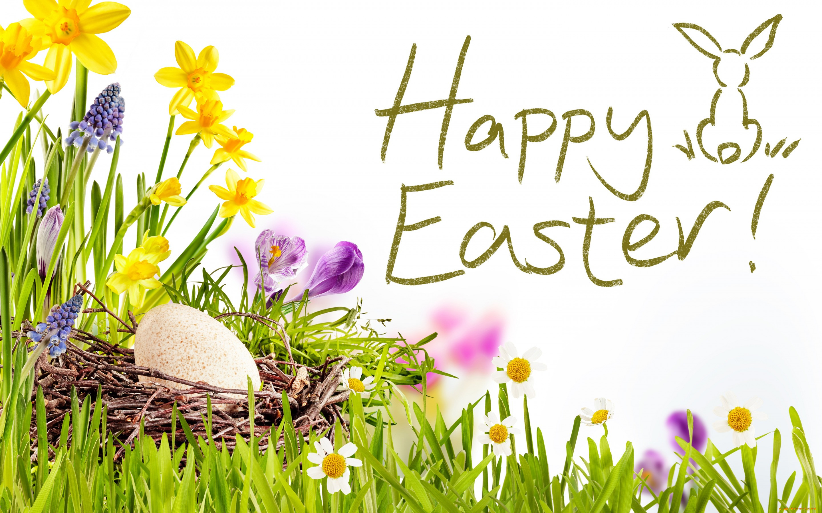 , , , , , happy, , easter, , , decoration, eggs, flowers, spring, 